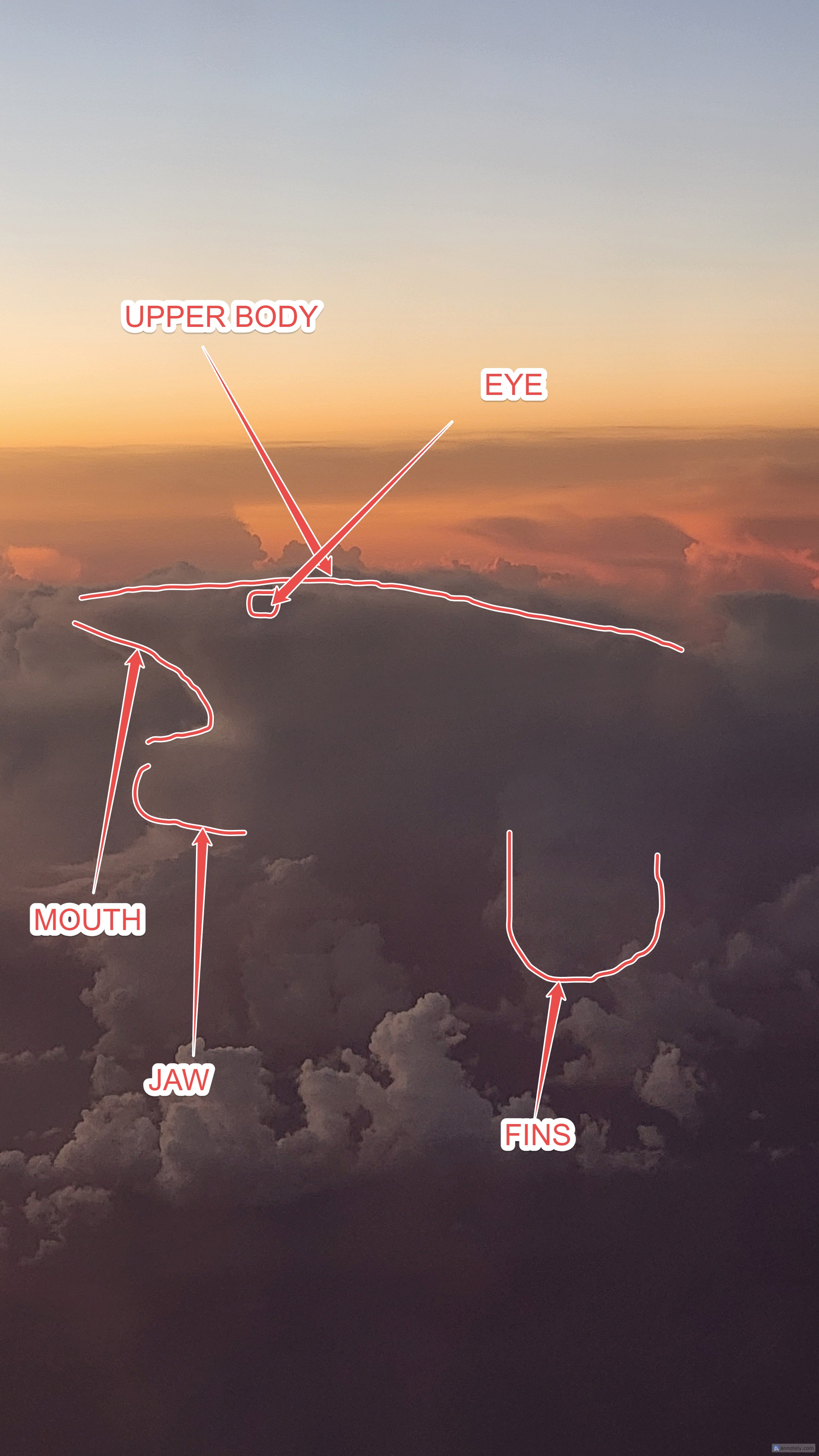 Cloud shapes outline showing whale